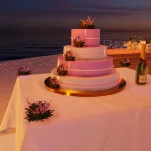BEACH WEDDING AND HONEY MOON