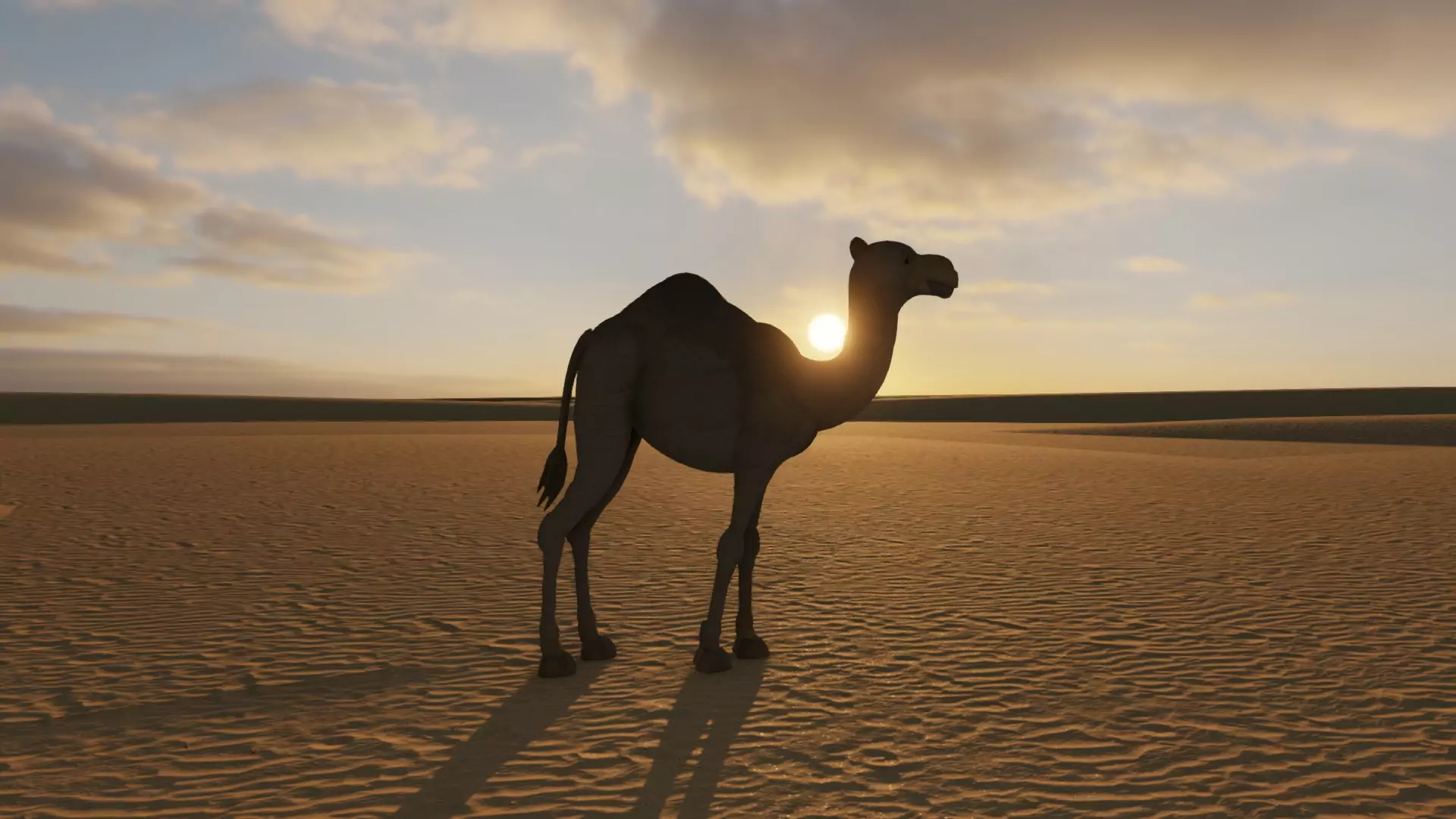 Bedouins Oasis pic 9