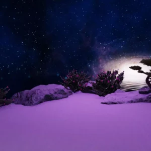 Zen Space Foundation