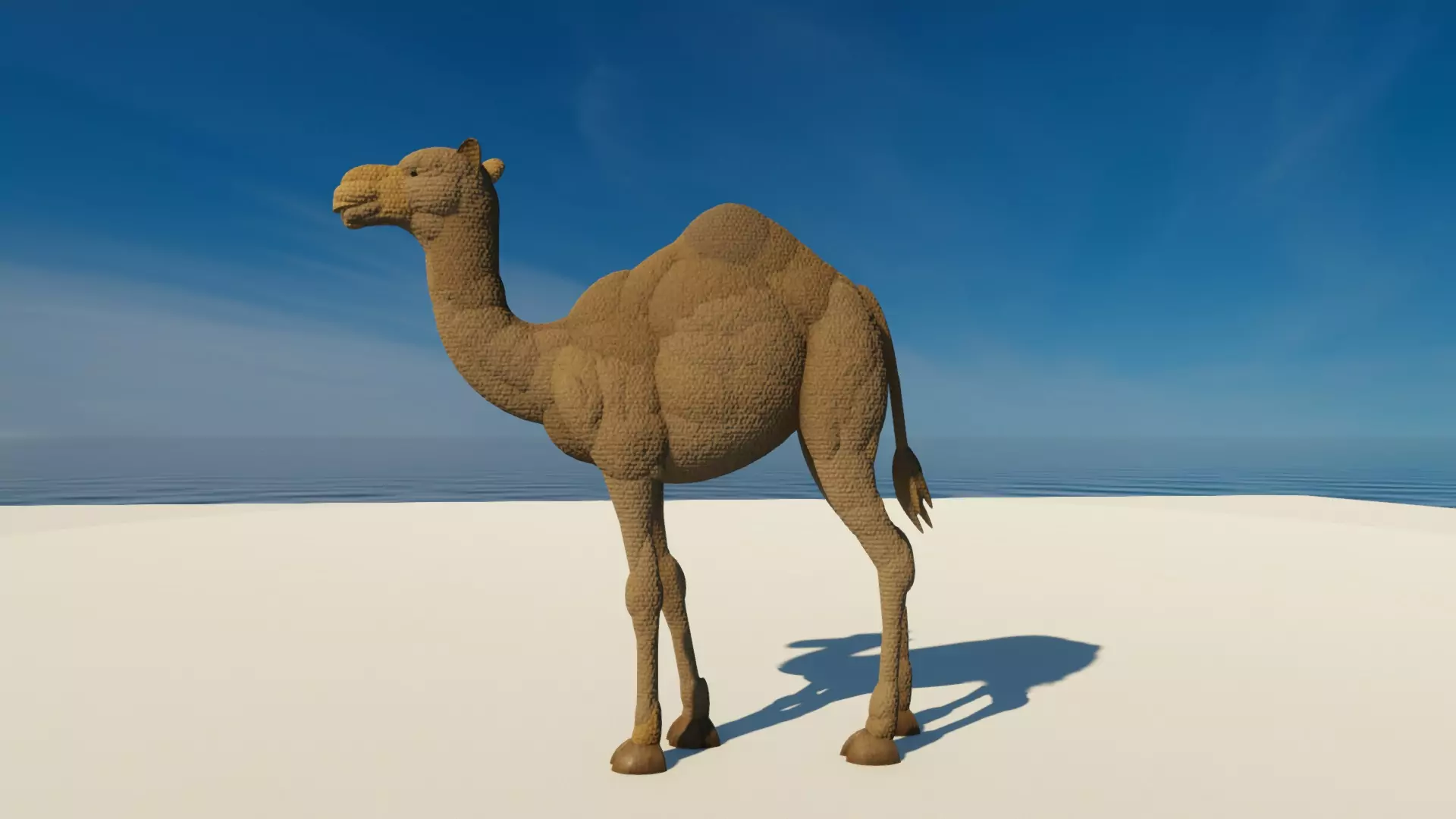 Camel pic 1