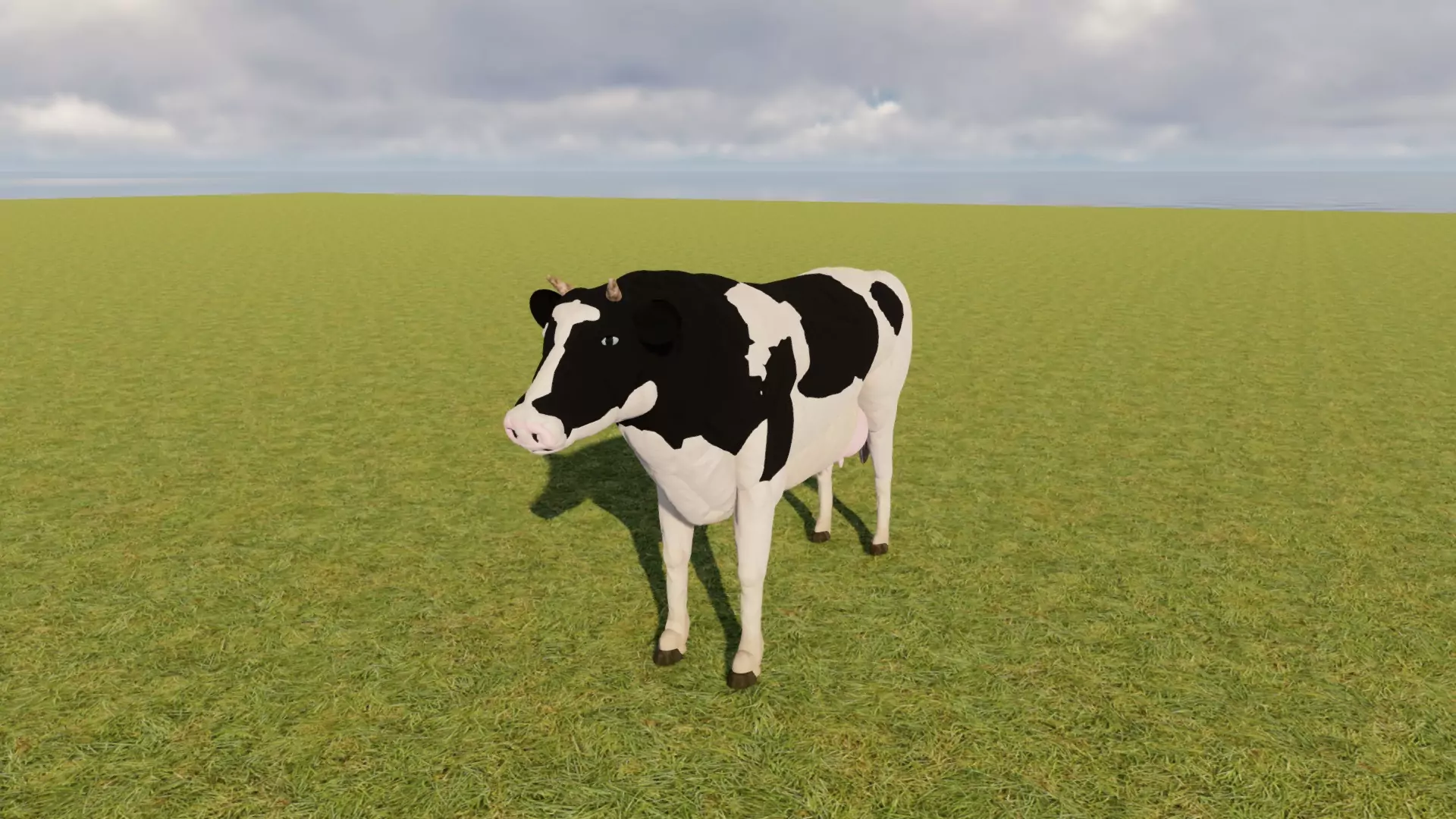 Cow pic 2