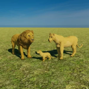 Lion, Lioness and Cub