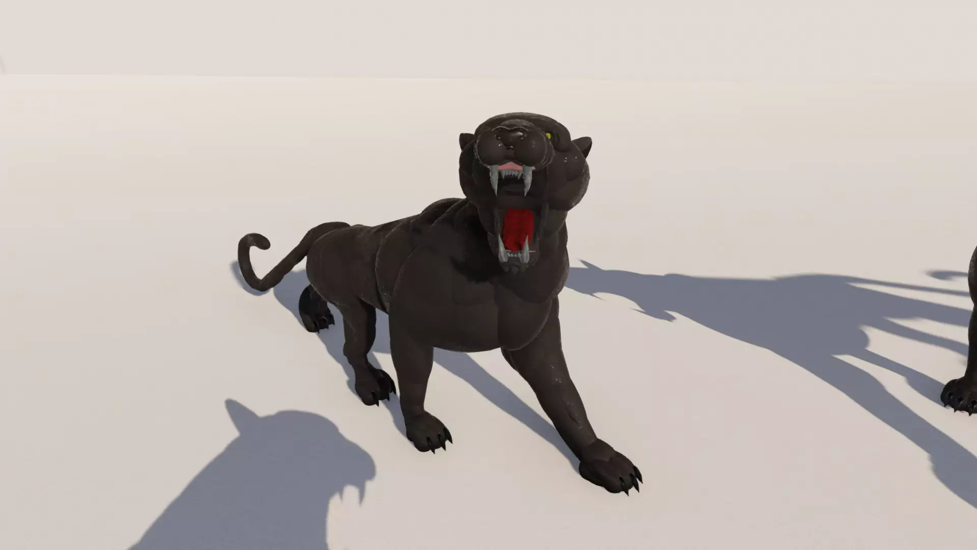 Panther pic 3 Panther pic 3