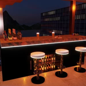 MODERN AND LUXURIOUS BRIDGE PENTHOUSE