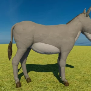 Donkey
