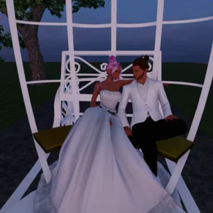 Princess Carriage by Vaper