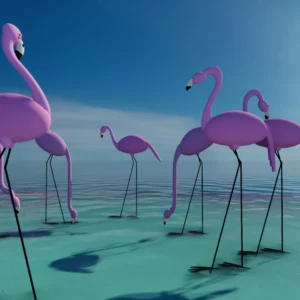 FLAMINGOS