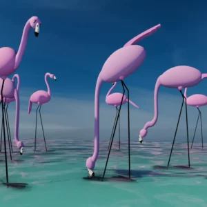 FLAMINGOS