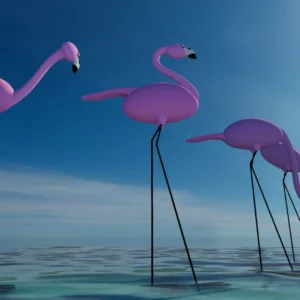 FLAMINGOS