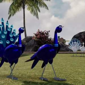 PEACOCKS