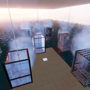 Pole Dance Cage – By Yoko…