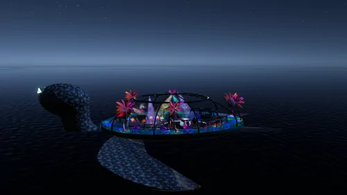 TURTLE DISCO