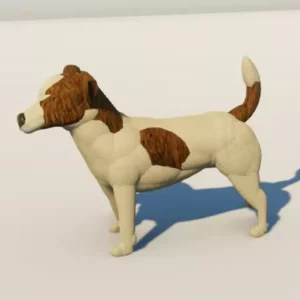 Jack Russell Dog by Queen…