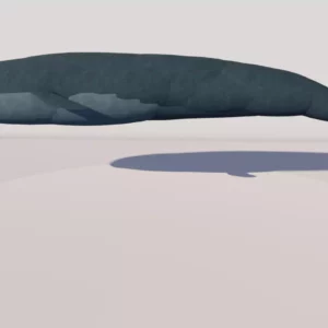 Blue Whale by Queen