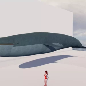 Blue Whale by Queen