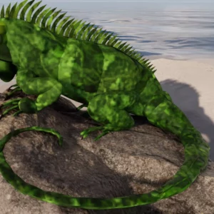 Iguana by Queen
