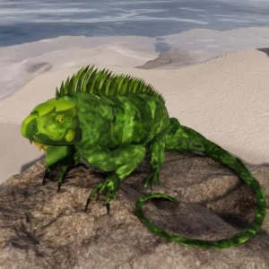 Iguana by Queen