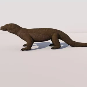 Komodo dragon by Queen…