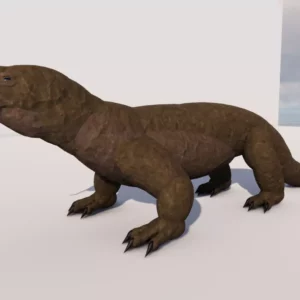 Komodo dragon by Queen…