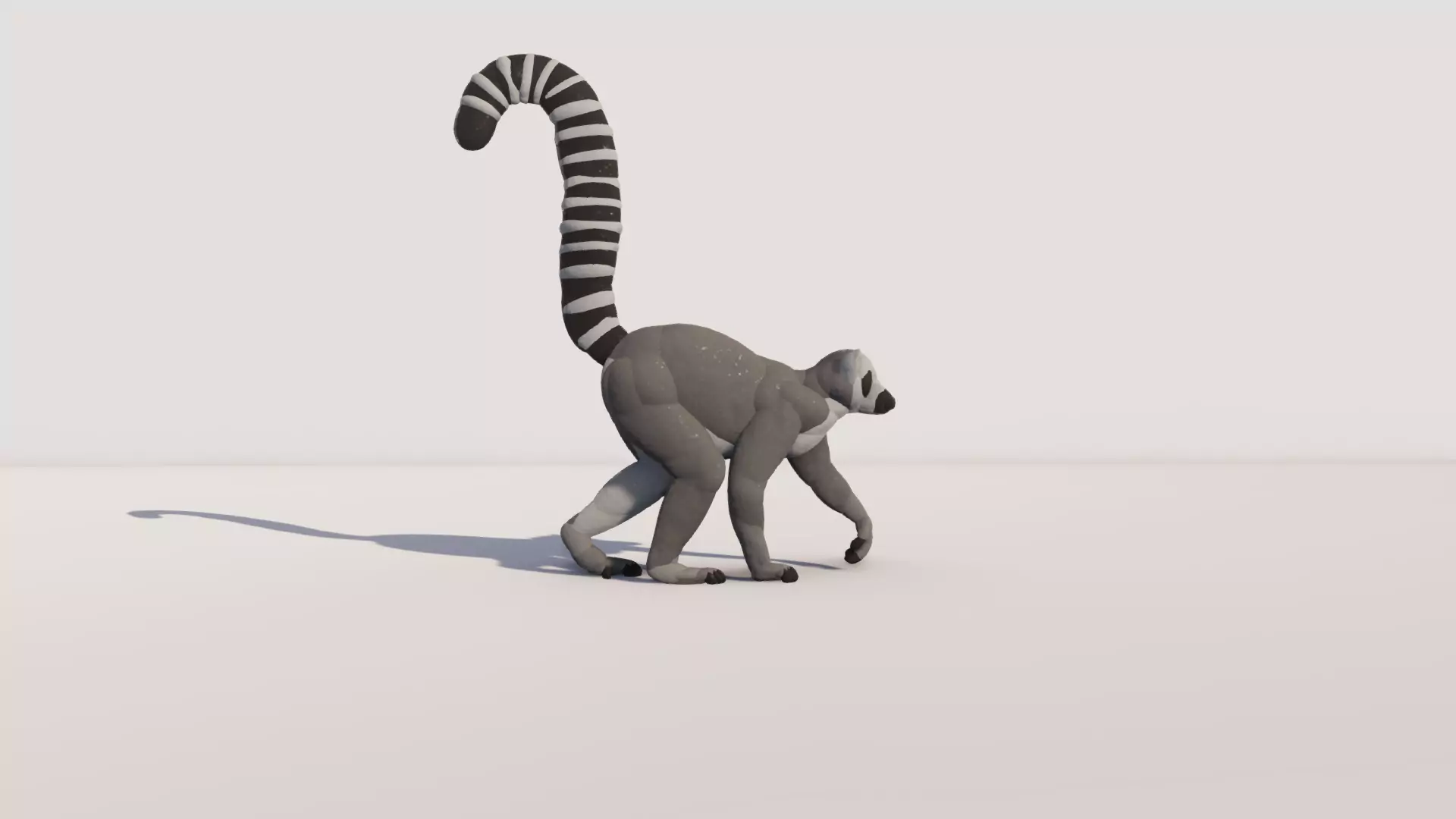 Lemur by Queen pic 1