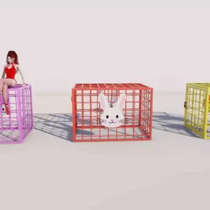 Pets Cages by Queen