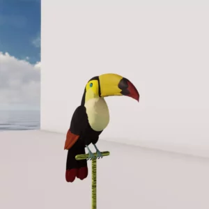Toucan by Queen