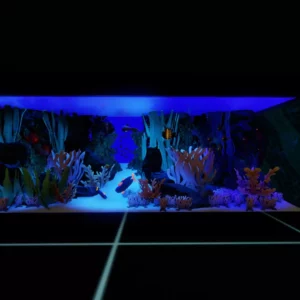 marine aquarium by alexander