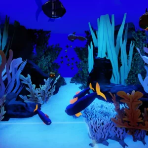 marine aquarium by alexander