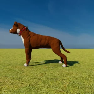 Pit bull Dog by Queen…