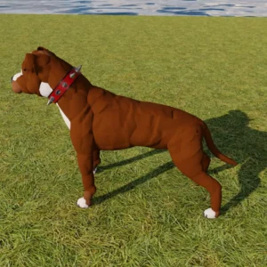 Pit bull Dog by Queen…