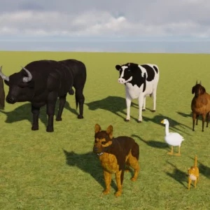 Farm Animals