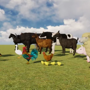 Farm Animals