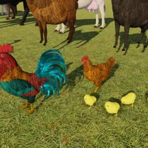 Farm Animals