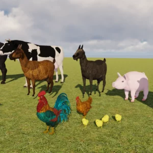 Farm Animals