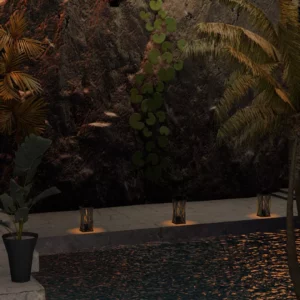 Tropical Midnight Oasis…