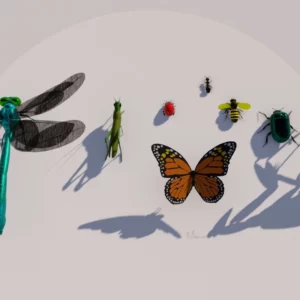 Insects Set by Queen