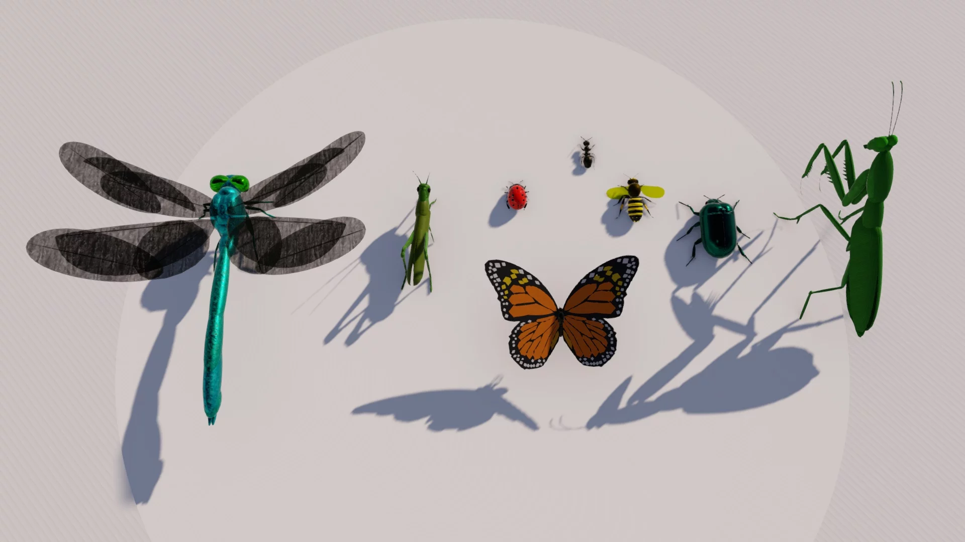 Insects Set by Queen pic 1