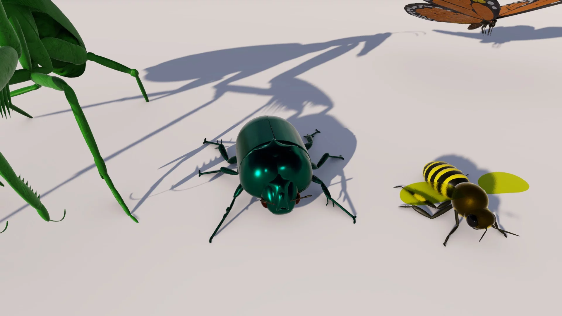 Insects Set by Queen pic 3