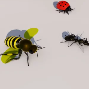 Insects Set by Queen