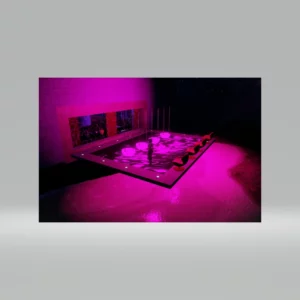 Neon and Nector Strip and Dance Clu…
