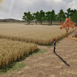 The Field by Queen