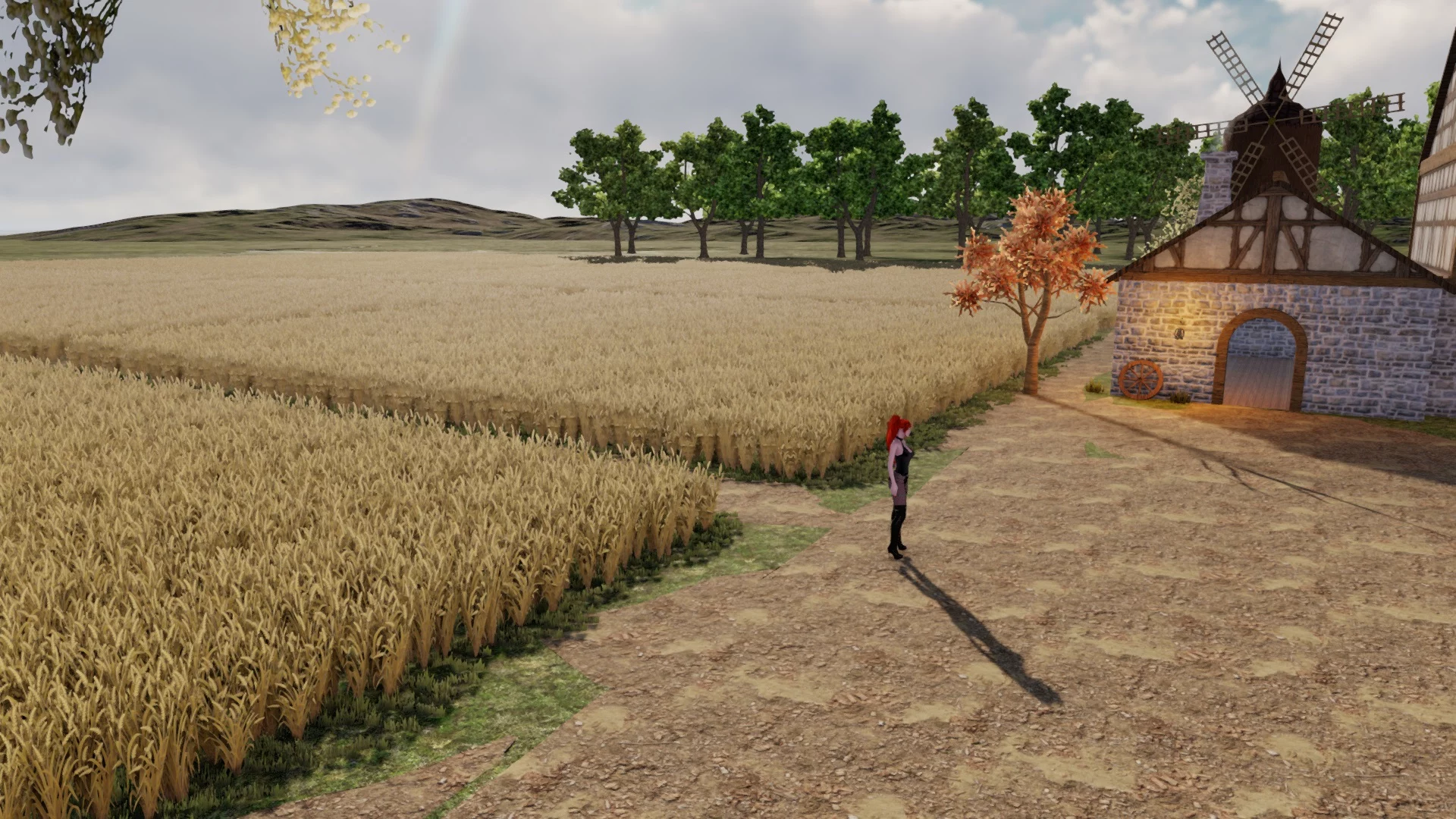 The Field by Queen pic 5