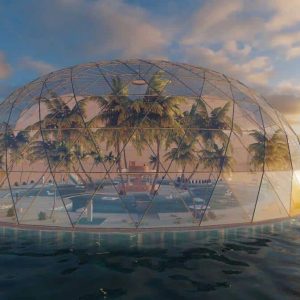 Dome Pool (Free or Donate)